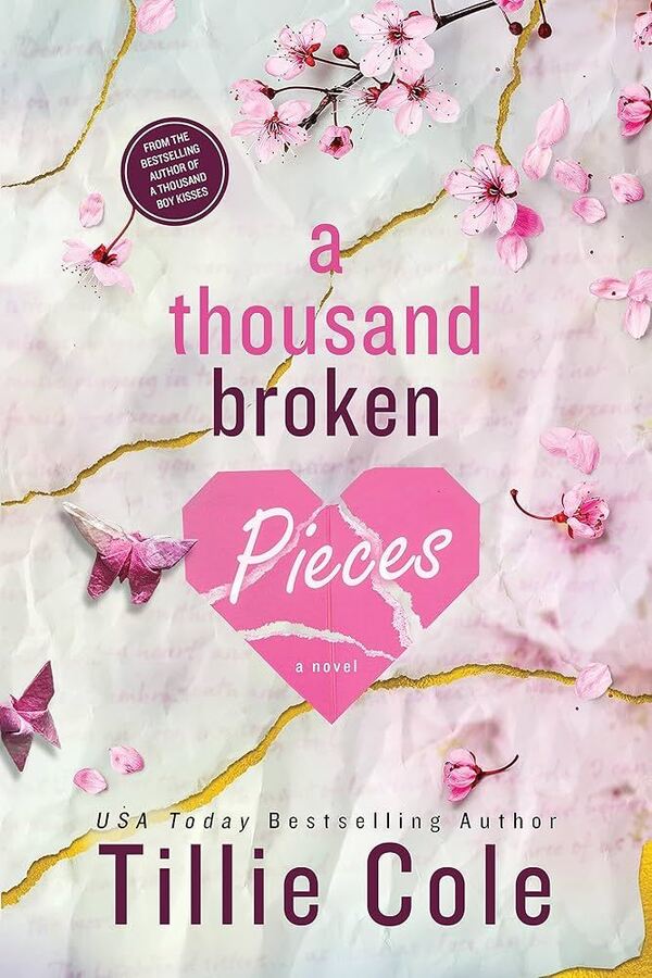 A Thousand Broken Pieces cover art.