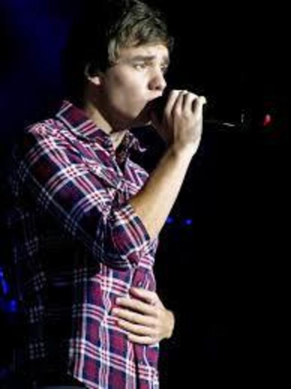 Liam Payne performing during his One Direction days.