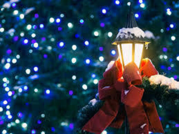 Head to Illuminights, a perfect and beautiful way to celebrate the season.