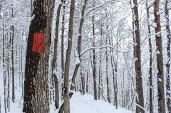 Snow Day in Roanoke County, Virginia